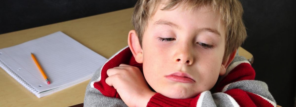 Что вырастет, то вырастет?