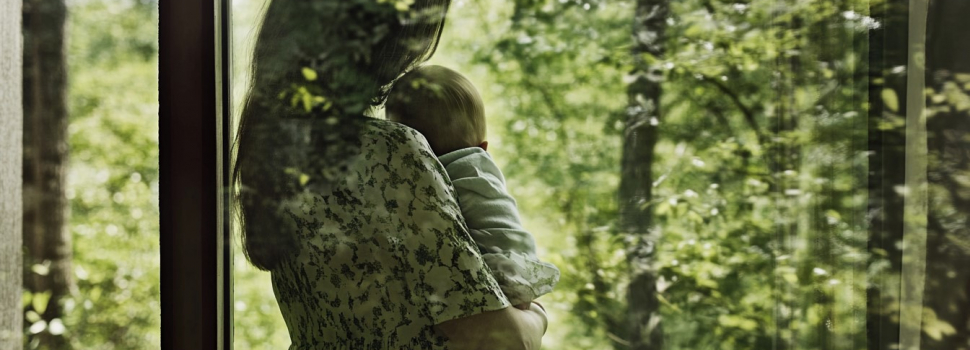 Теория привязанности: Основные идеи. Внутренние рабочие модели привязанности