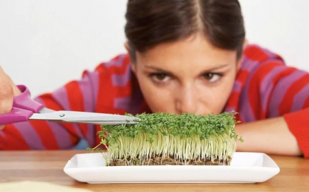 Перфекционизм: что это такое, и нужен ли он вам?