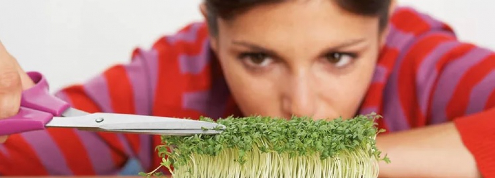 Перфекционизм: что это такое, и нужен ли он вам?