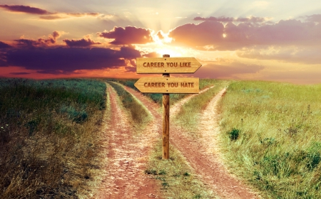 Чтобы занять свое место в жизни, нужно учиться выбирать