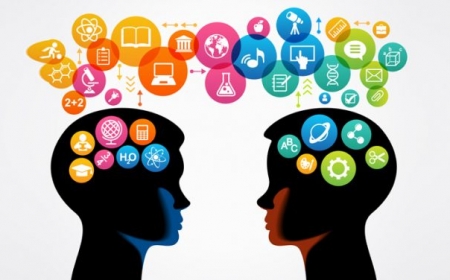 Образование и коммерция: мифы о несовместимости