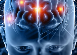 Учебный курс 