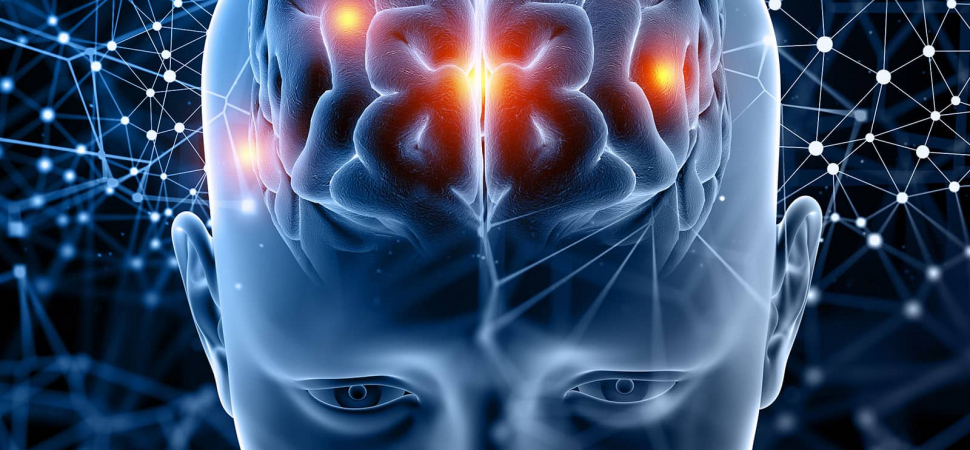 Учебный курс 