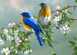 Ознакомительный семинар