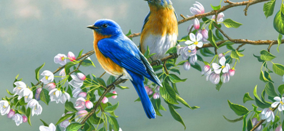 Ознакомительный семинар