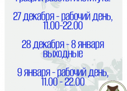 График работы института в праздничные дни