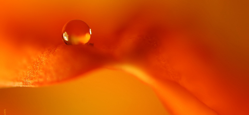 Тренинг “Исследование сексуальности”