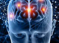 Учебный курс 