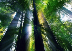 Ознакомительный семинар 13 ноября