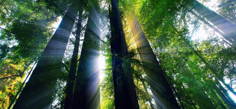 Ознакомительный семинар 13 ноября