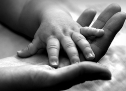 Цикл лекций 