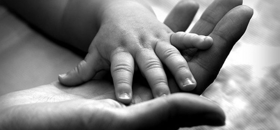 Цикл лекций 