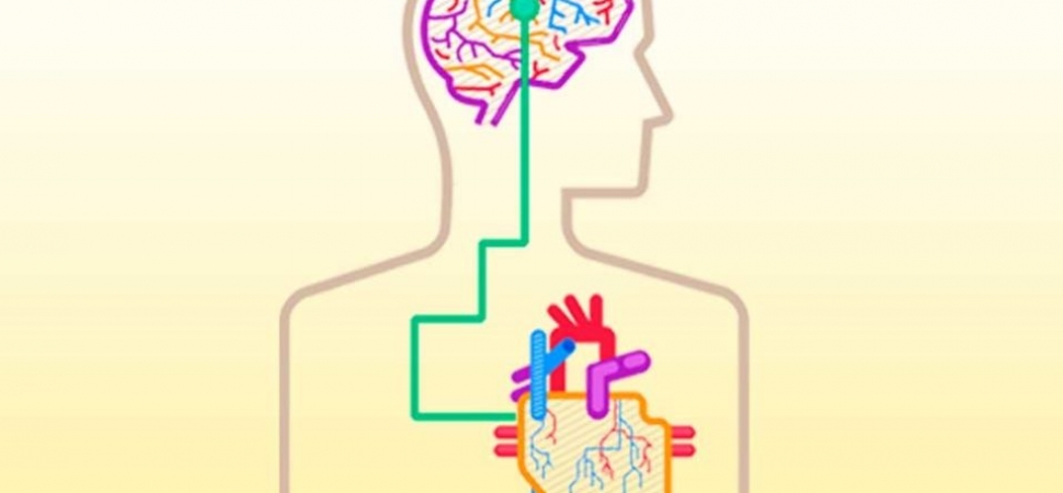 Семинар по работе с психосоматикой средствами психотерапии зависимости “Дорога к себе настоящему”