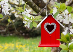 Весенний студенческий фестиваль «Про любовь»