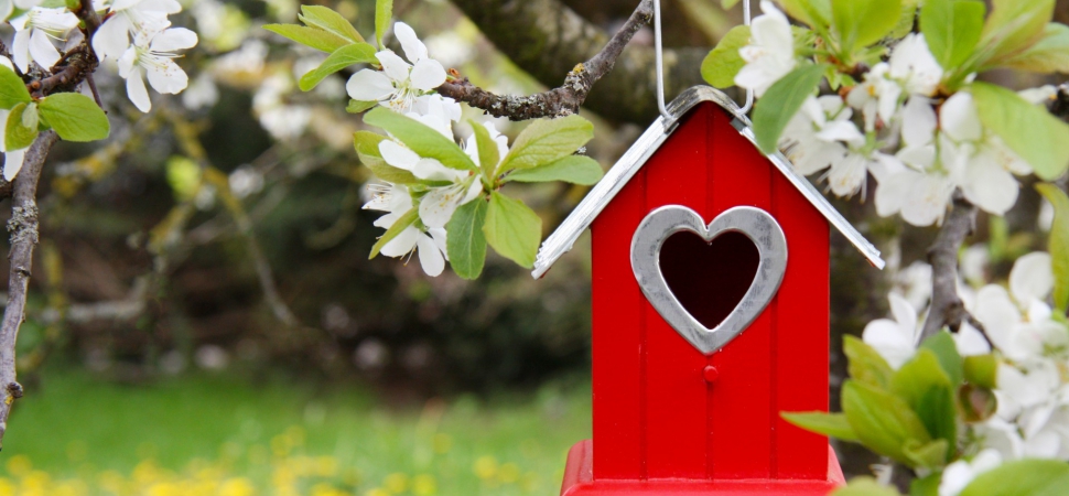 Весенний студенческий фестиваль «Про любовь»